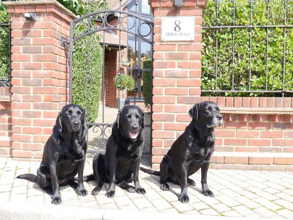 Millers House Boutique B&B Emsworth Eksteriør billede